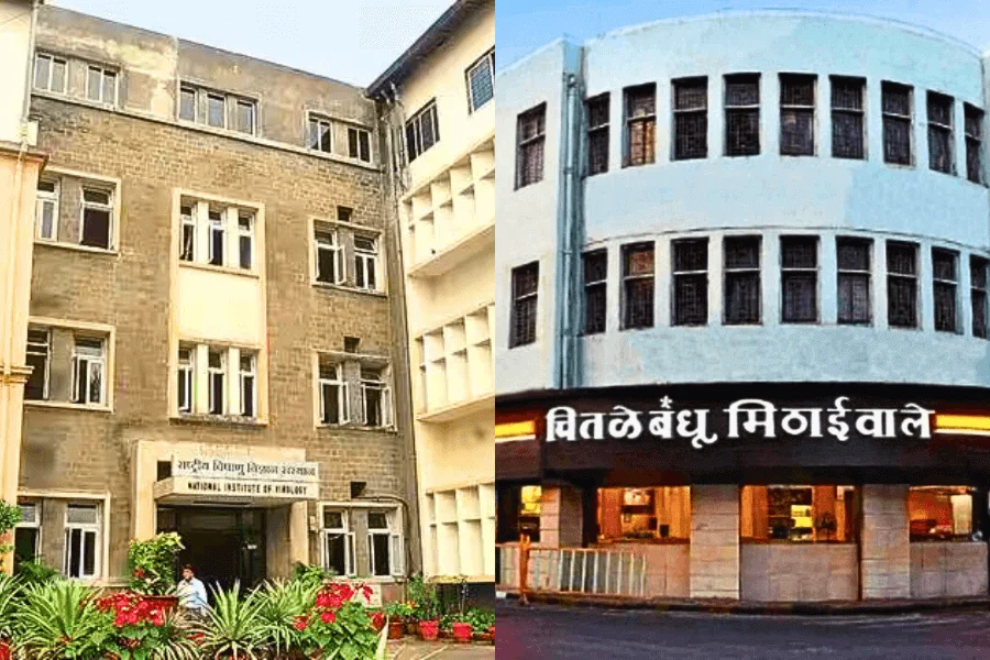 Chitale Bandhu image